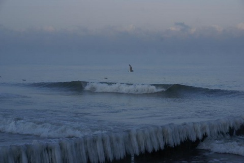 Kliknij na zdjęcie, żeby zobaczyć w pełnych wymiarach