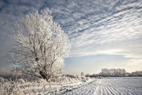 Kliknij na zdjęcie, żeby zobaczyć w pełnych wymiarach