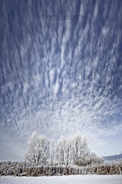 Kliknij na zdjęcie, żeby zobaczyć w pełnych wymiarach