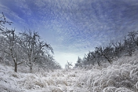 Kliknij na zdjęcie, żeby zobaczyć w pełnych wymiarach