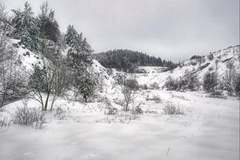 Kliknij na zdjęcie, żeby zobaczyć w pełnych wymiarach