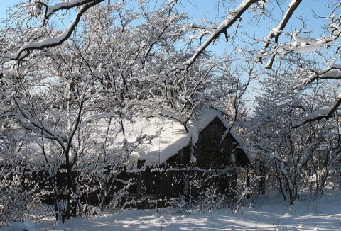 Kliknij na zdjęcie, żeby zobaczyć w pełnych wymiarach