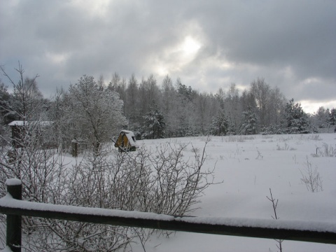 Kliknij na zdjęcie, żeby zobaczyć w pełnych wymiarach