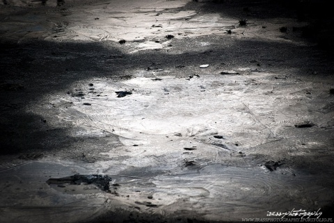 Kliknij na zdjęcie, żeby zobaczyć w pełnych wymiarach