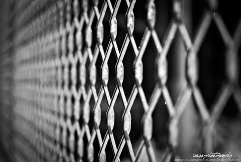 Kliknij na zdjęcie, żeby zobaczyć w pełnych wymiarach