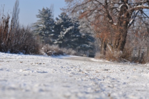 Kliknij na zdjęcie, żeby zobaczyć w pełnych wymiarach