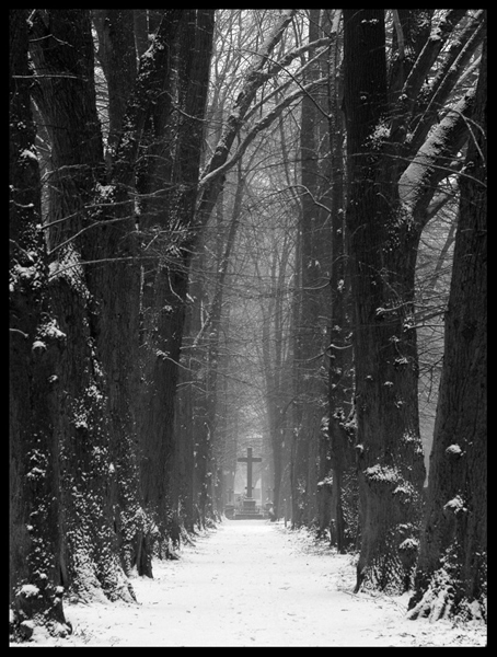Kliknij na zdjęcie, żeby zobaczyć w pełnych wymiarach