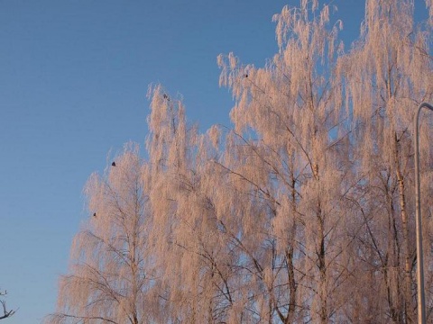 Kliknij na zdjęcie, żeby zobaczyć w pełnych wymiarach