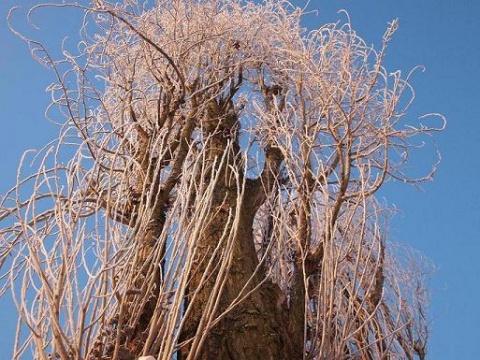 Kliknij na zdjęcie, żeby zobaczyć w pełnych wymiarach