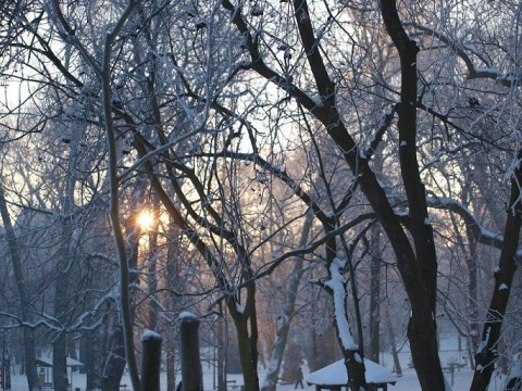 Kliknij na zdjęcie, żeby zobaczyć w pełnych wymiarach