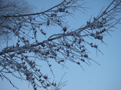 Kliknij na zdjęcie, żeby zobaczyć w pełnych wymiarach
