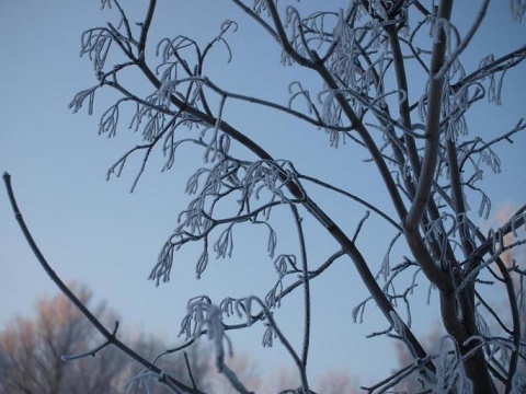 Kliknij na zdjęcie, żeby zobaczyć w pełnych wymiarach