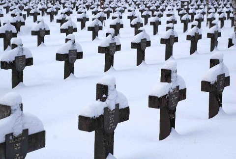 Kliknij na zdjęcie, żeby zobaczyć w pełnych wymiarach