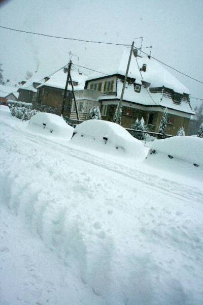 Kliknij na zdjęcie, żeby zobaczyć w pełnych wymiarach