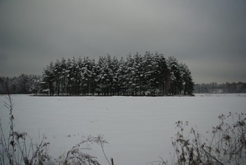 Kliknij na zdjęcie, żeby zobaczyć w pełnych wymiarach