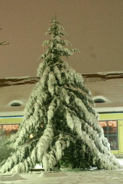 Kliknij na zdjęcie, żeby zobaczyć w pełnych wymiarach