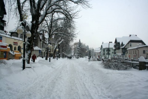 Kliknij na zdjęcie, żeby zobaczyć w pełnych wymiarach