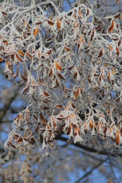 Kliknij na zdjęcie, żeby zobaczyć w pełnych wymiarach