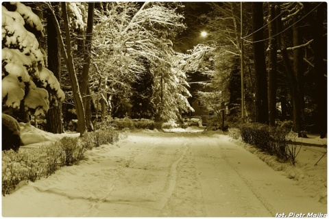 Kliknij na zdjęcie, żeby zobaczyć w pełnych wymiarach