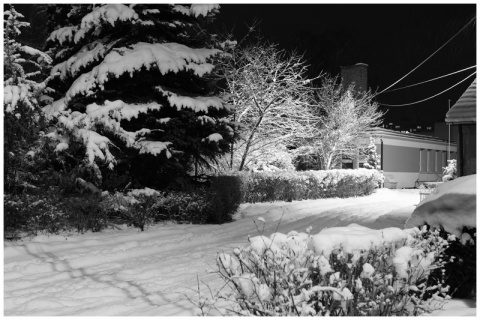 Kliknij na zdjęcie, żeby zobaczyć w pełnych wymiarach