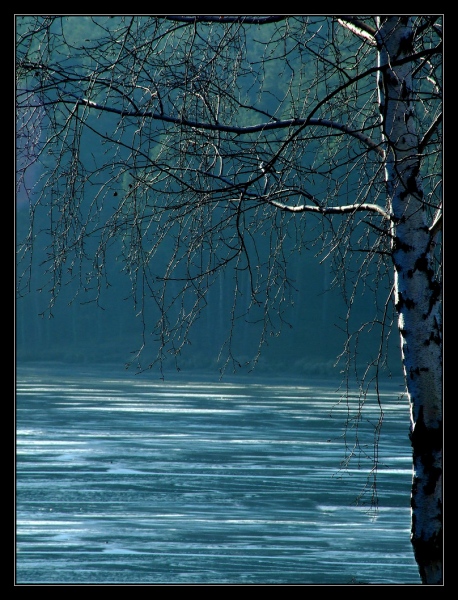 Kliknij na zdjęcie, żeby zobaczyć w pełnych wymiarach