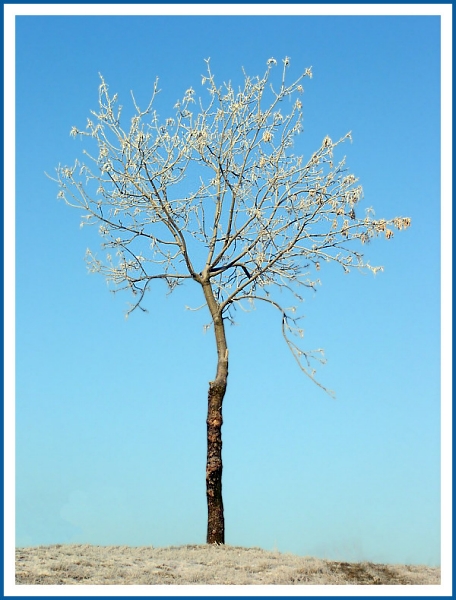 Kliknij na zdjęcie, żeby zobaczyć w pełnych wymiarach