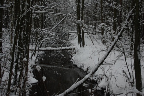 Kliknij na zdjęcie, żeby zobaczyć w pełnych wymiarach