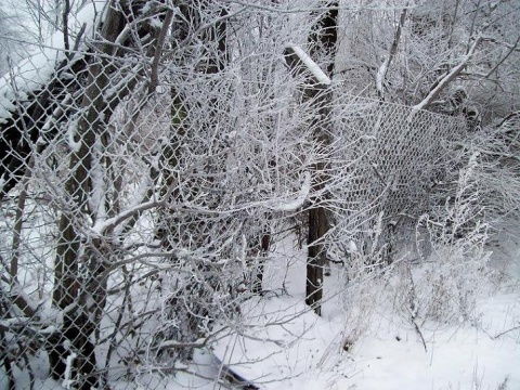 Kliknij na zdjęcie, żeby zobaczyć w pełnych wymiarach