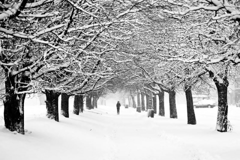 Kliknij na zdjęcie, żeby zobaczyć w pełnych wymiarach