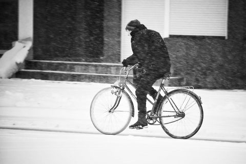 Kliknij na zdjęcie, żeby zobaczyć w pełnych wymiarach