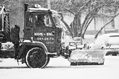 Kliknij na zdjęcie, żeby zobaczyć w pełnych wymiarach