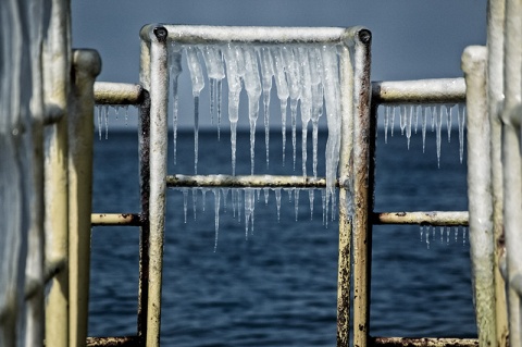 Kliknij na zdjęcie, żeby zobaczyć w pełnych wymiarach