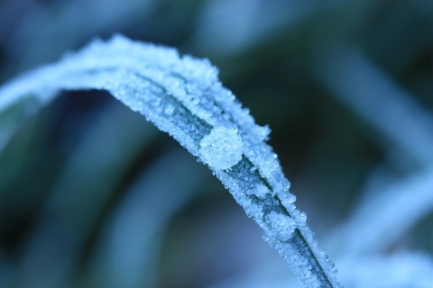Kliknij na zdjęcie, żeby zobaczyć w pełnych wymiarach