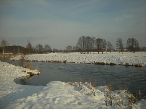 Kliknij na zdjęcie, żeby zobaczyć w pełnych wymiarach