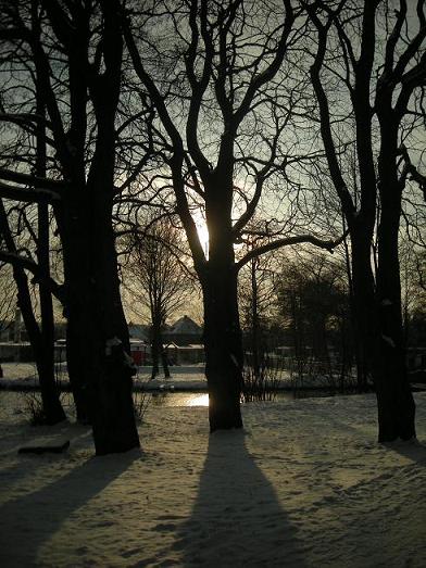 Kliknij na zdjęcie, żeby zobaczyć w pełnych wymiarach