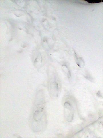 Kliknij na zdjęcie, żeby zobaczyć w pełnych wymiarach