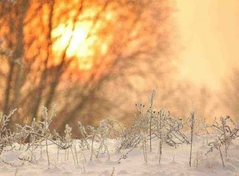 Kliknij na zdjęcie, żeby zobaczyć w pełnych wymiarach