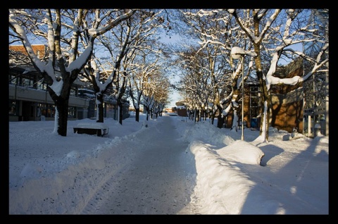 Kliknij na zdjęcie, żeby zobaczyć w pełnych wymiarach