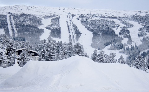 Kliknij na zdjęcie, żeby zobaczyć w pełnych wymiarach