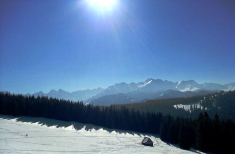 Kliknij na zdjęcie, żeby zobaczyć w pełnych wymiarach