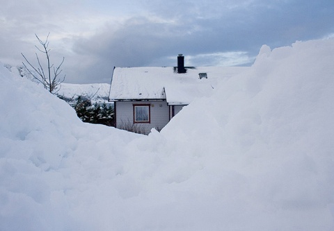 Kliknij na zdjęcie, żeby zobaczyć w pełnych wymiarach