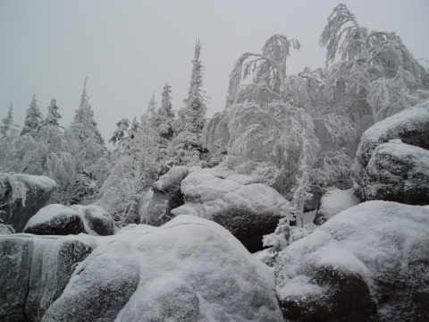 Kliknij na zdjęcie, żeby zobaczyć w pełnych wymiarach
