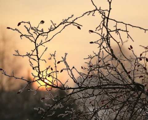 Kliknij na zdjęcie, żeby zobaczyć w pełnych wymiarach