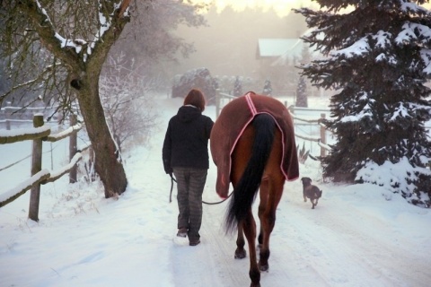 Kliknij na zdjęcie, żeby zobaczyć w pełnych wymiarach