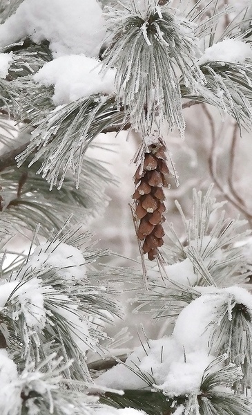 Kliknij na zdjęcie, żeby zobaczyć w pełnych wymiarach