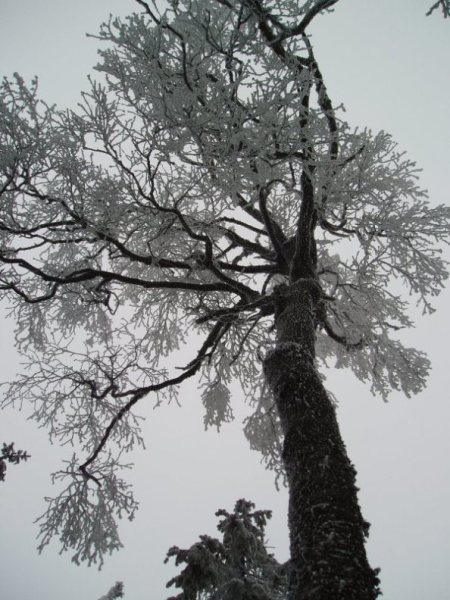 Kliknij na zdjęcie, żeby zobaczyć w pełnych wymiarach