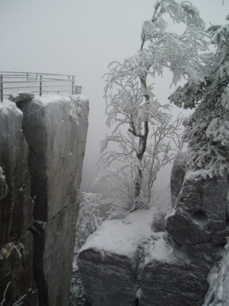 Kliknij na zdjęcie, żeby zobaczyć w pełnych wymiarach