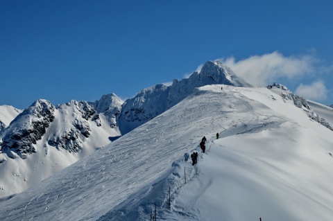 Kliknij na zdjęcie, żeby zobaczyć w pełnych wymiarach