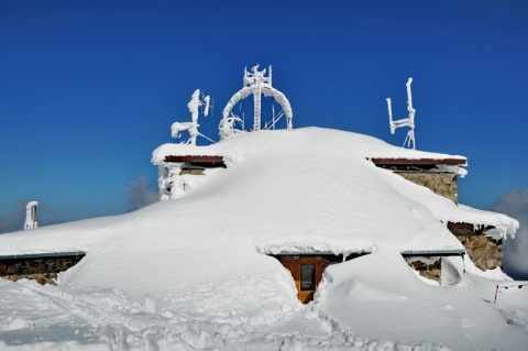 Kliknij na zdjęcie, żeby zobaczyć w pełnych wymiarach