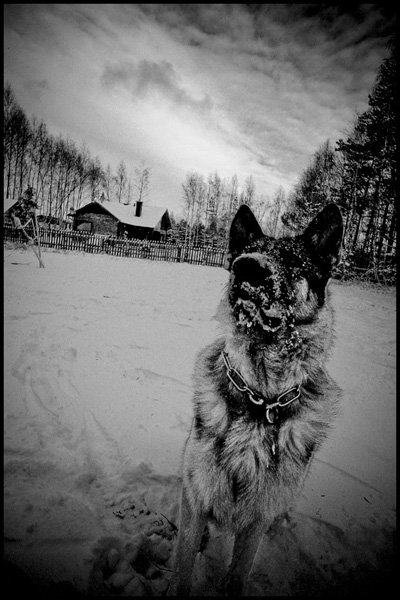 Kliknij na zdjęcie, żeby zobaczyć w pełnych wymiarach